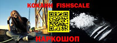 гидра Будённовск