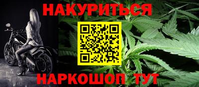 гидра Будённовск