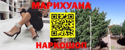 гидра Будённовск