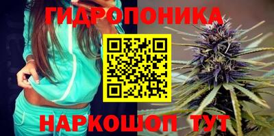 гидра Будённовск