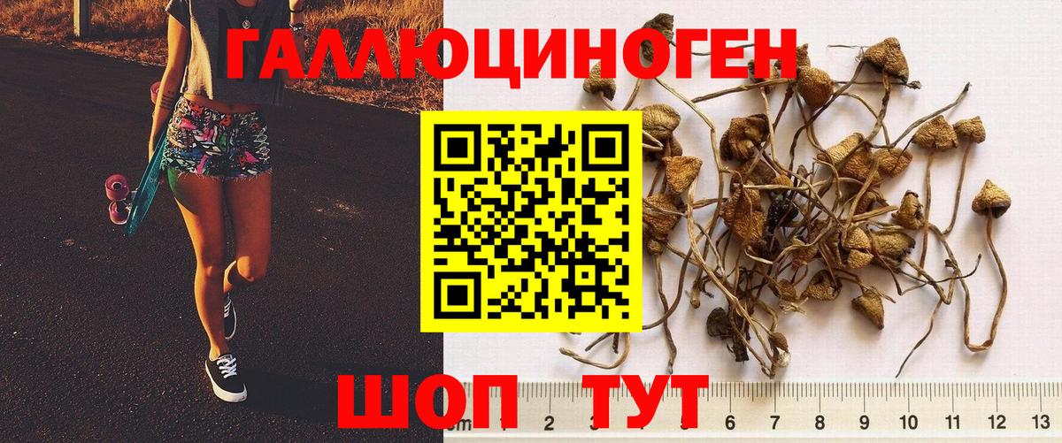 Псилоцибиновые грибы мухоморы Киреевск