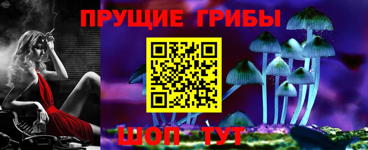 Киреевск  Псилоцибиновые грибы прущие грибы  Вход с VPN  Псилоцибиновые грибы мухоморы 